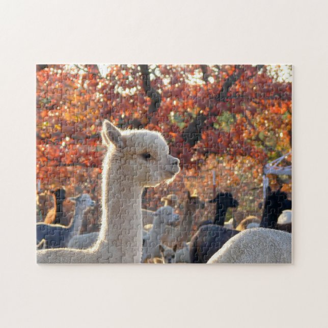 Alpaca Jigsaw Puzzle (Horizontal)