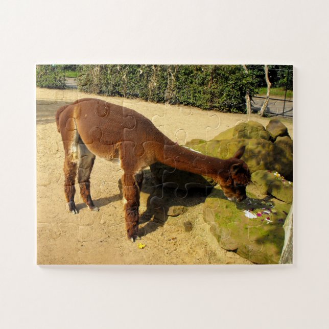 Alpaca Jigsaw Puzzle (Horizontal)