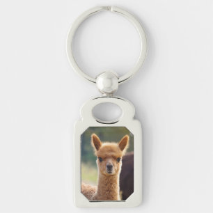 Alpaca Key Chains