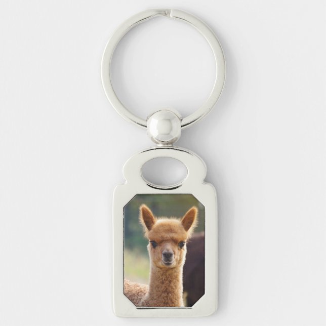 Alpaca Key Chains (Front)