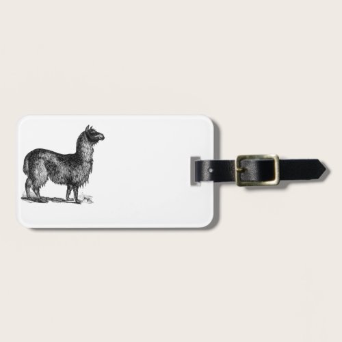 Alpaca Llama Cute Peru Animal Nature Art Luggage Tag