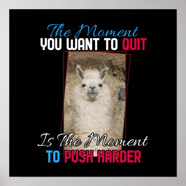 Alpaca Llama -  Push Harder Encouragement  Poster (Front)