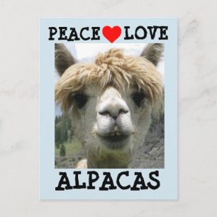 ALPACA LOVE POSTCARDS