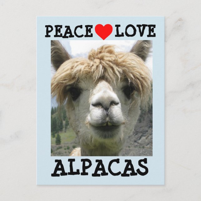 ALPACA LOVE POSTCARDS (Front)