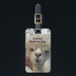 Alpaca Luggage Tag<br><div class="desc">Alpaca my bags! Who can resist an alpaca smile and a silly pun? Make your suitcase easy to identify, and bring a smile to a weary traveler's faces.</div>