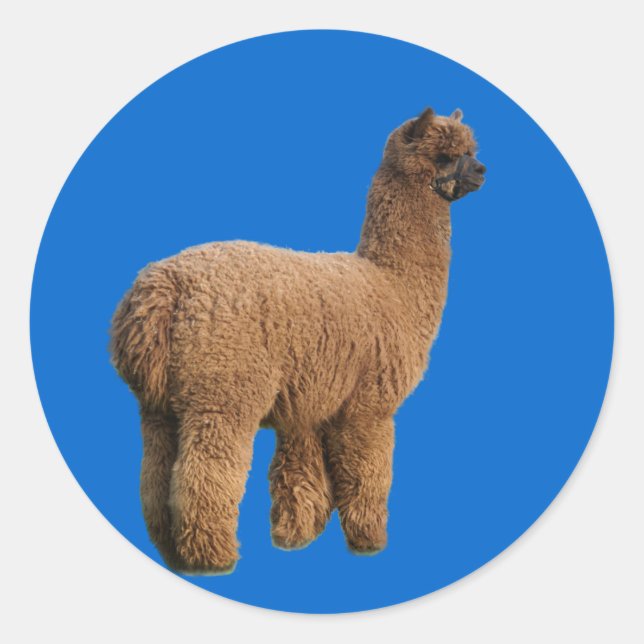 Alpaca Magic Sticker (Front)