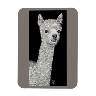 Alpaca Magnet
