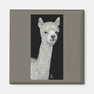 Alpaca Magnet