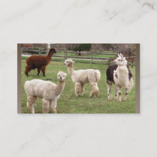 Alpaca Melange ~ biz card