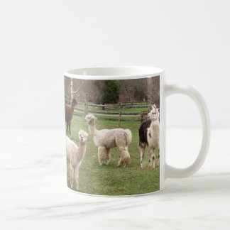 Alpaca Melange ~ mug