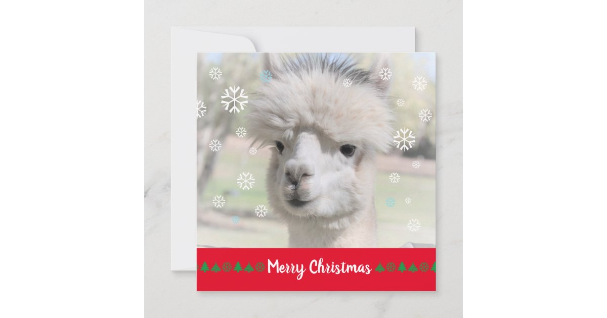 Alpaca Merry Christmas Greeting Card | Zazzle
