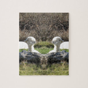 Alpaca mirror jigsaw puzzle