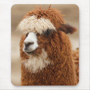 Alpaca mousepad