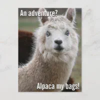 MANDALA LOVE Alpaca Shoulder Tote Bag