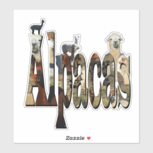 Alpaca Name With Alpacas, Sticker
