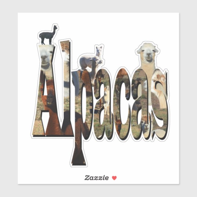 Alpaca Name With Alpacas, Sticker (Sheet)