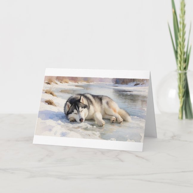 Alpaca Napping On The Llama Wool Rug Greeting Card