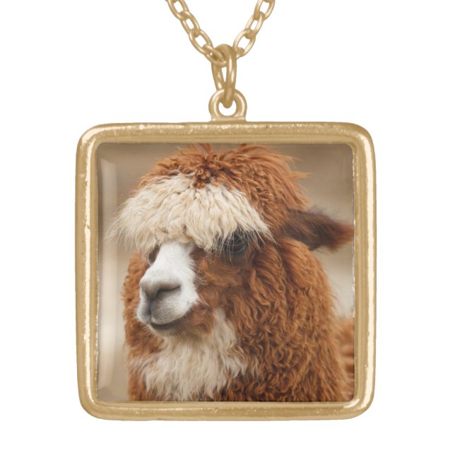 Alpaca necklace (Front)