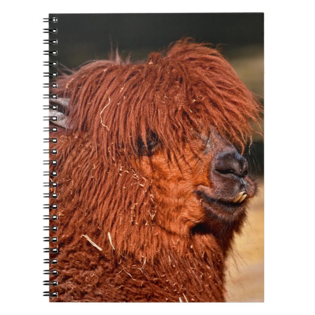 Alpaca Notebook (Front)