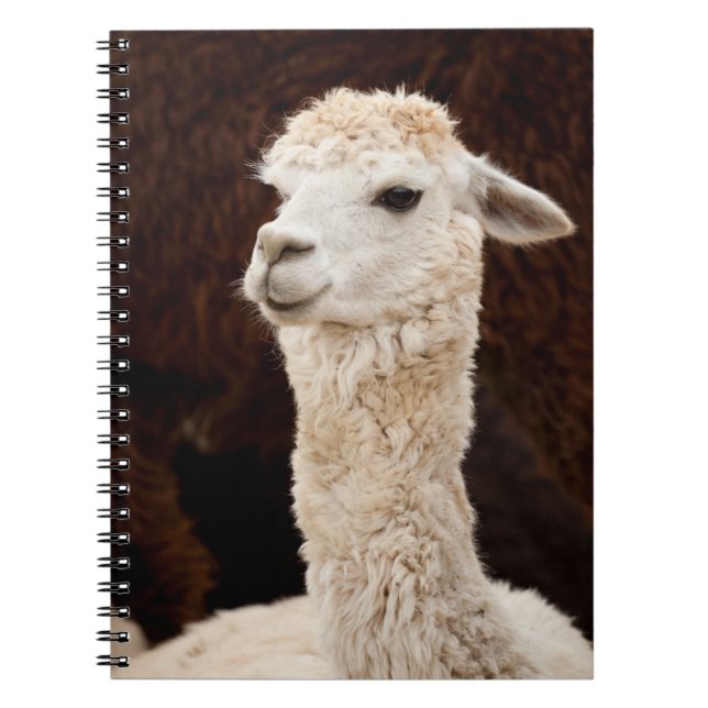 Alpaca Notebook (Front)