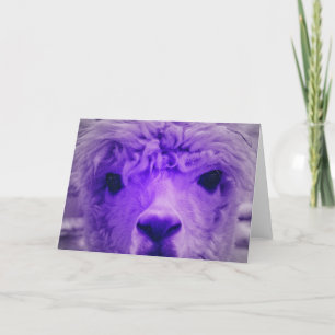 Alpaca of another color card