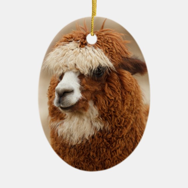 Alpaca ornament (Front)