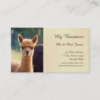 Alpaca Pet Care Business Cards Double-sided by WalnutCreekAlpacas at Zazzle