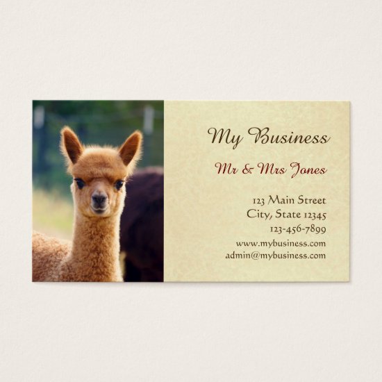 Alpaca Pet Care Business Cards Double-Sided