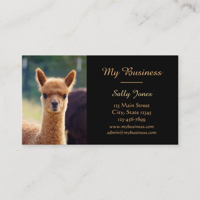 Alpaca Pet Care Business Cards Double-Sided (Front)