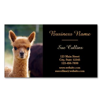 Alpaca Pet Magnetic Business Cards (pack Of 25) by WalnutCreekAlpacas at Zazzle