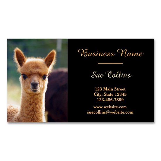 Alpaca Pet Magnetic Business Cards (Pack Of 25)
