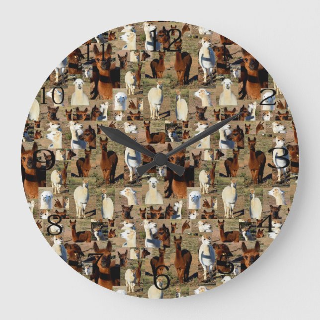 Alpaca Photo Collage, Large Clock (Front)