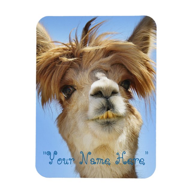 Alpaca  Photo Magnet "Put own name" (Vertical)
