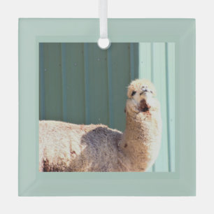 Alpaca Photo Ornament