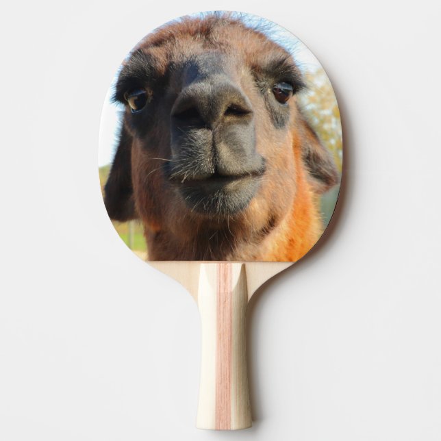 Alpaca Ping Pong Paddle (Front)