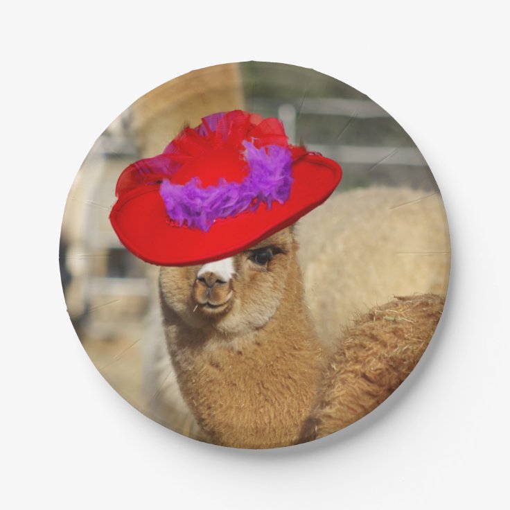 Alpaca Plates Zazzle