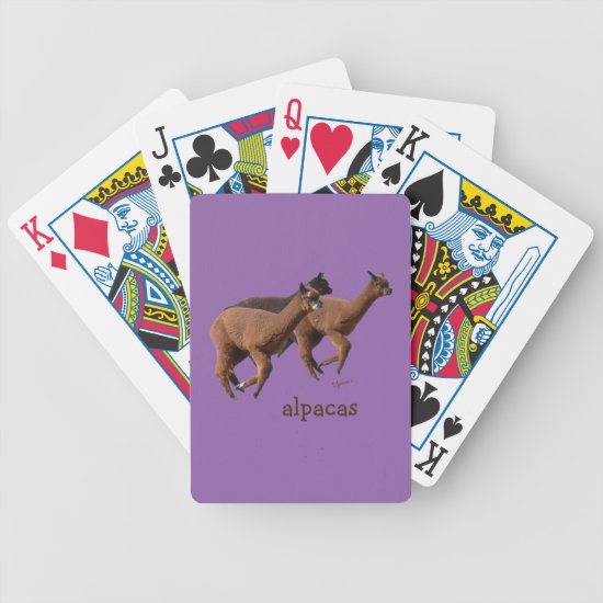 Alpaca Playing Cards