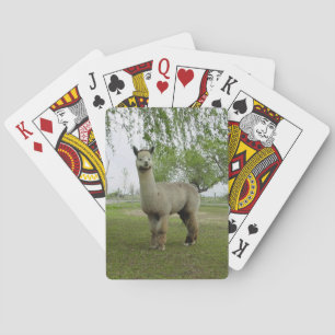 Alpaca Playing Cards
