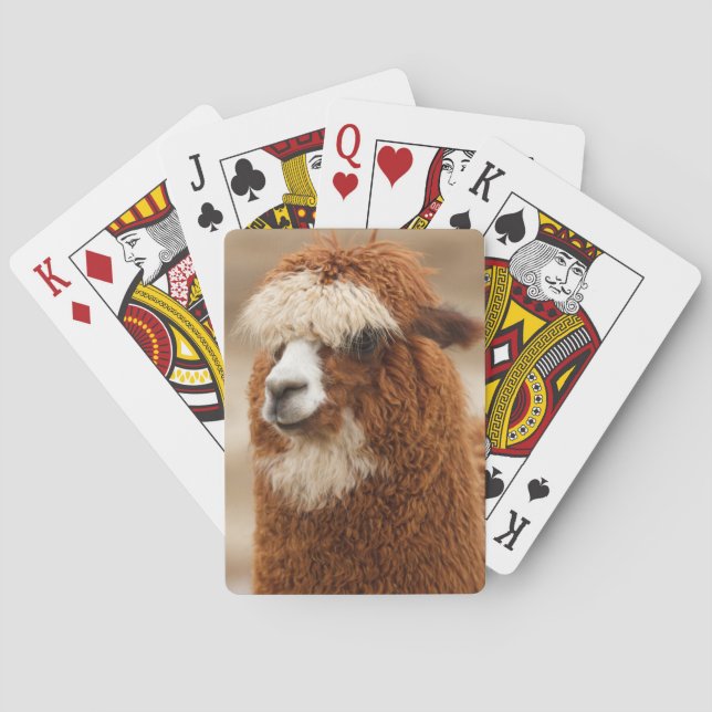Alpaca playing cards (Back)