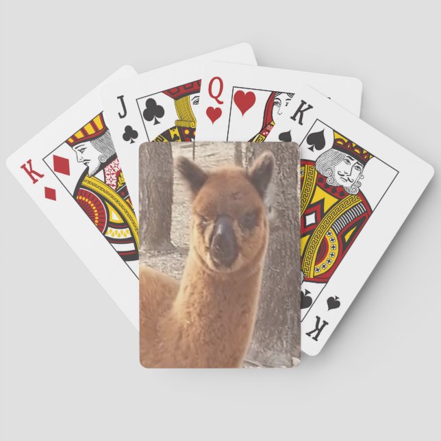Alpaca Playing Cards (Back)
