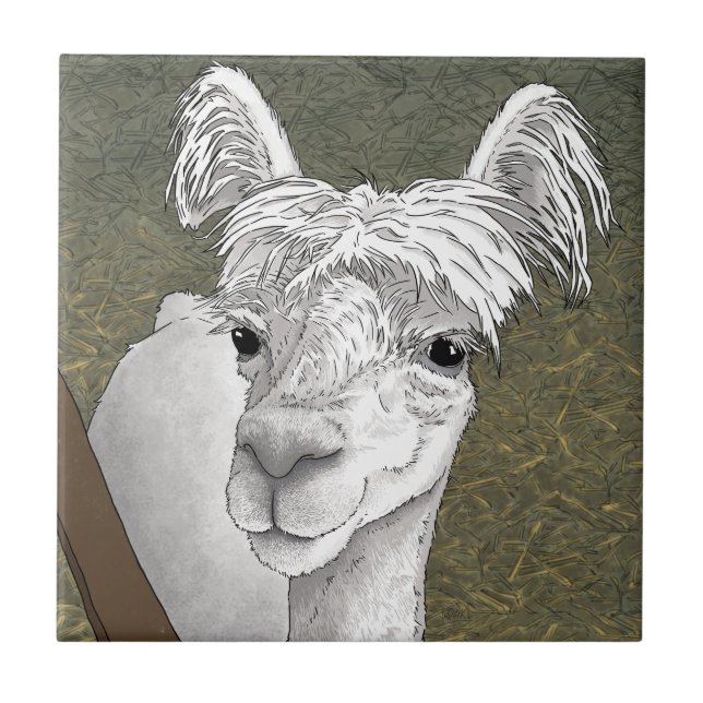 Alpaca Portrait 2 Ceramic Tile (Front)