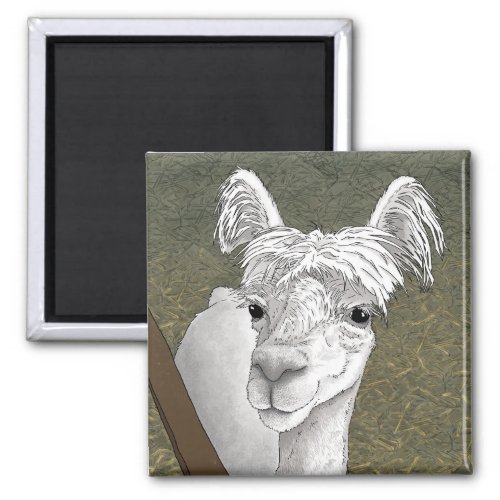 Alpaca Portrait 2 Magnet