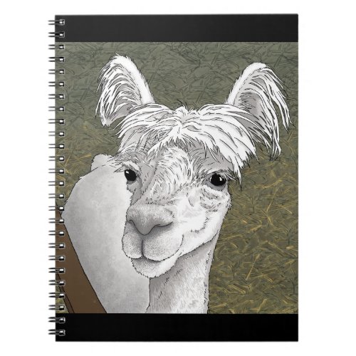 Alpaca Portrait 2 Notebook