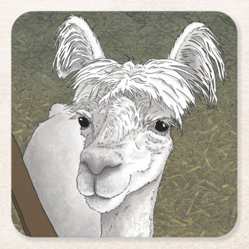 Alpaca Portrait 2 Square Paper Coaster