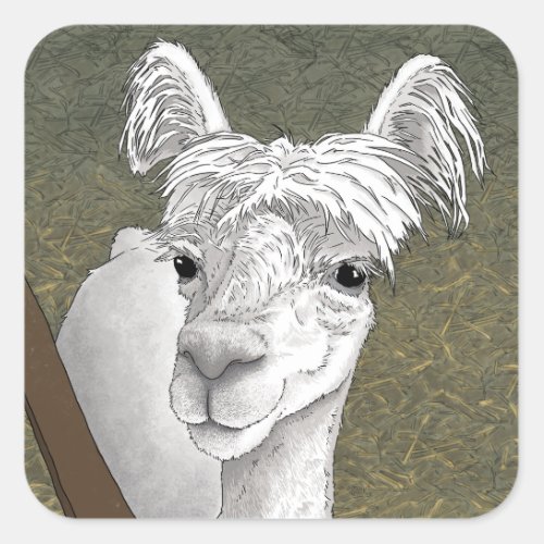 Alpaca Portrait 2 Square Sticker