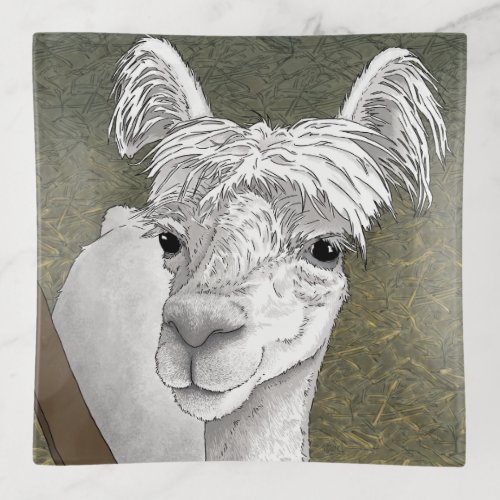 Alpaca Portrait 2 Trinket Tray