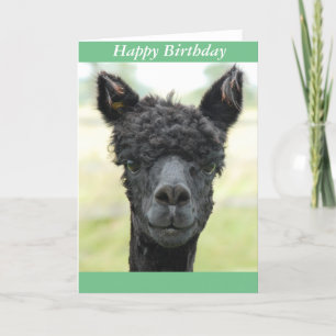 Alpaca Portrait Card