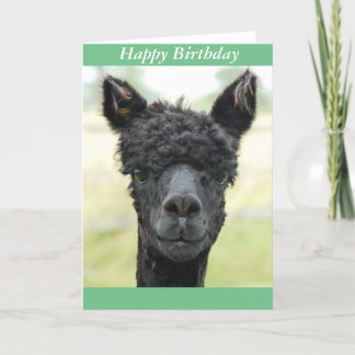 Alpaca Portrait Card