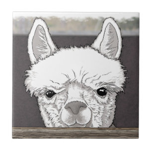 Alpaca Portrait Ceramic Tile