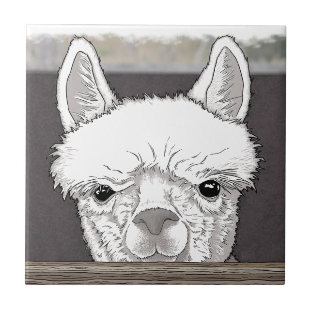 Alpaca Portrait Ceramic Tile (Front)